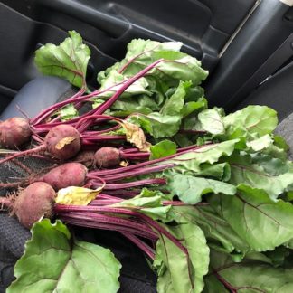 Several bunches of beets with leafy tops.