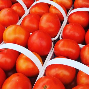 Field tomatoes in 3L baskets.